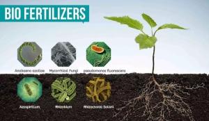 Exciting Developments in Microbiological Pesticides and Biofertilizers